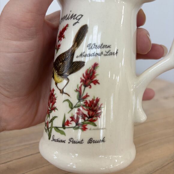 Vintage Wyoming Souvenir Creamer Pitcher 1960s Western Meadow Lark Cottagecore - Picture 5 of 11